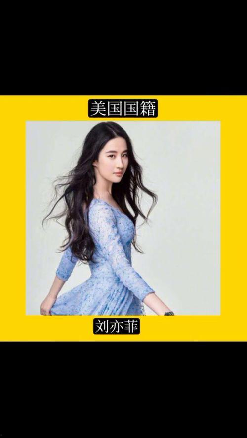 外国节目明星填词大全,星光熠熠的歌词盛宴