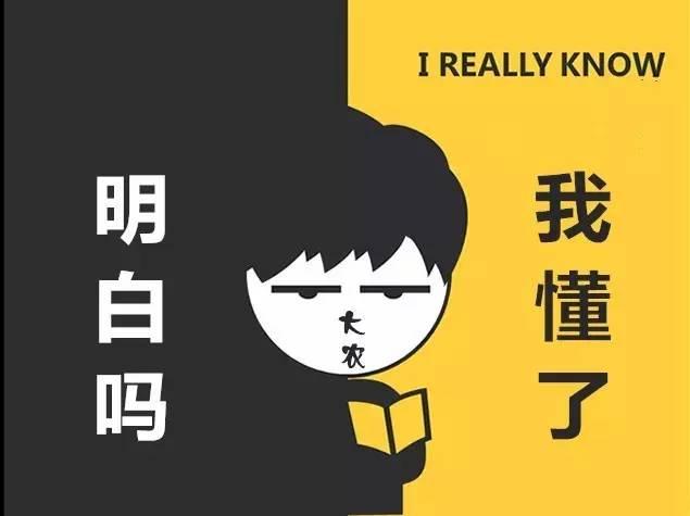 加班吃瓜的快乐,揭秘职场生活的小确幸