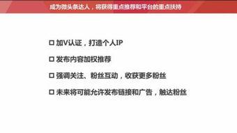 头条如何加入互粉,轻松加入互粉圈，拓展人脉新途径