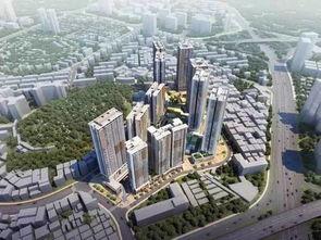 深圳罗湖东岭新闻头条,聚焦区域发展新篇章